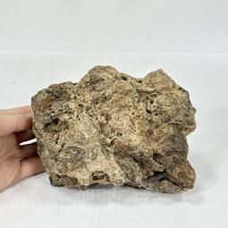 【御寶齋】--｛原石手串｝--新疆和闐籽玉、天然原石、無去黑處理、取一顆就值了．．// 特價 //U-16 歷史價格詳細信息