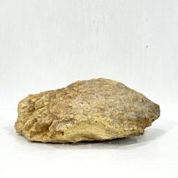 【御寶齋】--｛原石手串｝--新疆和闐籽玉、天然原石、無去黑處理、取一顆就值了．．// 特價 //U-16 歷史價格詳細信息