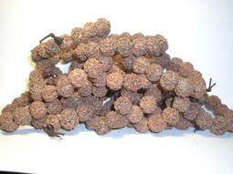 塵灌吸 黑色手持吸塵打氣機 無線吸塵器 車用吸塵器 吸塵打氣二合一 歷史價格詳細信息