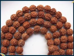 精挑尼泊爾龍眼菩提手串正圓高密秒沉紅皮黃皮單圈文玩佛珠手鍊 歷史價格詳細信息