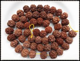 54顆金箔香灰琉璃手串北京雍和手鍊宮法物通處情侶款如意提珠手鍊 歷史價格詳細信息