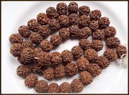 【雅之賞|佛教|藏傳文物】特賣* 尼泊爾五瓣19-20mm金剛菩提53顆(實物拍攝)~301003 價格比較,價格查詢,歷史價格詳細信息