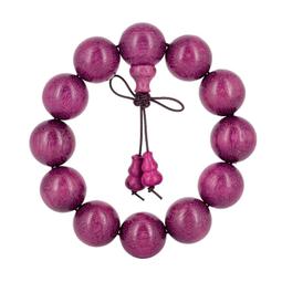 【正版保證】玫瑰奴隸王（深雪當鋪系列小說正版授權、無刪改！） 歷史價格詳細信息