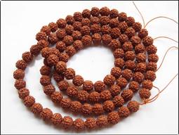 【雅之賞|佛教|特賣* 尼泊爾 小金剛菩提 7-7.5mm精選5瓣 肉紋 蛤蟆背 120顆素珠(實物拍攝)~041101 歷史價格詳細信息