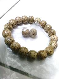 星期日開始月間筆記本/202412開始/B6 歷史價格詳細信息