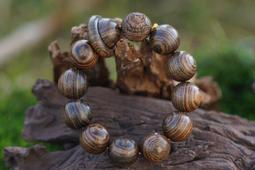 阿木小舖~虎皮檀木項鍊 手鍊 念珠 佛珠 手串8mm(190含運)60839 歷史價格詳細信息