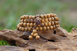 南美樺木 防水自黏壁紙 加厚超立體仿真木紋 歷史價格詳細信息