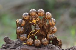 阿木小舖~虎皮檀木項鍊 手鍊 念珠 佛珠 手串8mm(190含運)60839 歷史價格詳細信息