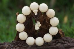 阿木小舖~五台山六道木加葫蘆手鍊 念珠 佛珠 手串15mm(199含運)60649 歷史價格詳細信息