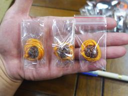 印度錫金多智欽(秋丹寺)除障芥子(一包) 歷史價格詳細信息