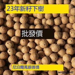 正宗尼泊爾鳳眼菩提18顆手持 108顆紅皮手串文玩精品菩提念珠 歷史價格詳細信息