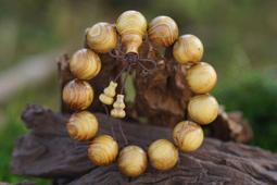 阿木小舖~金絲檀木加葫蘆手鍊念珠佛珠20mm(268含運)50252 歷史價格詳細信息