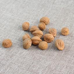 龍紋籃球服套裝男女款夏季划龍舟背心大學生籃球訓練比賽隊服 歷史價格詳細信息