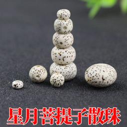 星月菩提子手鏈佛珠108顆黑金虎皮海南料店主私藏好貨美 歷史價格詳細信息