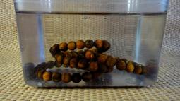 [福田工藝]肖楠蟾蜍皮釘仔瘤/肖楠車珠餘塊味道濃郁!淨重600g可置房間、橱櫃、衣櫃滿室芳香!除濕防蛀蟲[肖塊1] 歷史價格詳細信息