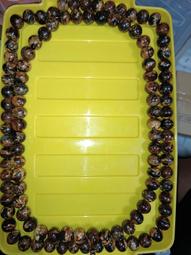 撫順天然凈水琥珀植物珀豆油紅項鏈108干凈秀氣禮物復古手鏈簡約 歷史價格詳細信息