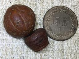 【鳳眼夫人】原創設計訂製款 2款 復古小花/彩色格紋大圓扣PU皮帶 格紋腰帶 美式復古搭配 個性穿搭 甜辣女孩穿搭 百搭 歷史價格詳細信息