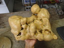 《紀老師的收藏-210 》開運招財&rarr;水洗樹瘤狀金黃樹化玉〈2300公克&rarr;U107   ※聚氣招財&bull;心想事成&bull;收藏增值! 歷史價格詳細信息