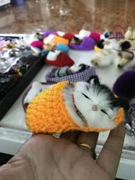 還願佛牌 泰國 佛牌 阿贊姜凱 巨人 女神牌 頭幫 第一期 2555年 歷史價格詳細信息