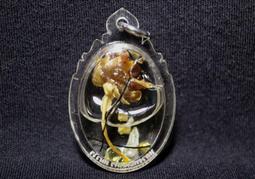 人緣油瓶 (中瓶) 入人緣鳥 姻緣鳥 龍婆本 【泰國精品】已開光加持泰國佛牌 歷史價格詳細信息