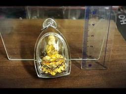 必達開花肥(幫助開花結果特效) 歷史價格詳細信息