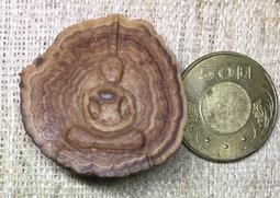 祟寧通寶，退通進崇。此枚幣品相極好，沒整理沒修補沒清洗，字口15461 歷史價格詳細信息