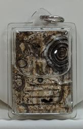 龍宮盜寶 Looterz (附推廣卡) 繁體中文版 台北陽光桌遊商城 歷史價格詳細信息