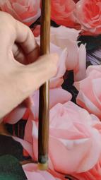 抓癢鞋拔棒(一入) 歷史價格詳細信息