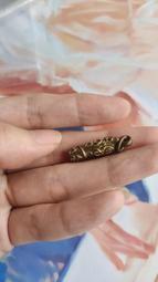 泰國帶回拉鍊型緞面曼谷包 零錢包 緞面包 名片包 收納包 首飾包 高度可直接放信用卡 剩咖啡色款 歷史價格詳細信息