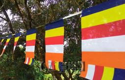 （此商品起發貨）綠聯七類網線細便攜穿牆家用千cat7萬兆電腦寬帶連接純銅雙頭屏蔽。 歷史價格詳細信息