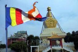 色拉寺 密宗院 大威德金剛沐浴丸(一顆) 歷史價格詳細信息