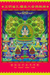 佛畫佛像唐卡 孔雀明王畫像3 相紙打印 高清 佛像畫 實木佛像框掛像擺像 歷史價格詳細信息