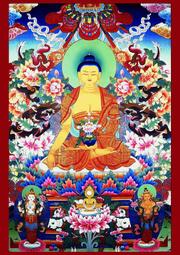 佛畫佛像唐卡 結緣唐卡阿彌陀佛畫像1佛堂畫佛像畫相紙塑封水晶擺臺版畫 價格比較,價格查詢,歷史價格詳細信息