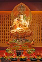 佛畫佛像唐卡 21度母佛像一整套 相紙塑封 相框擺臺二十一度母畫像佛像畫 歷史價格詳細信息