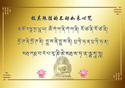 佛畫佛像唐卡 結緣不空絹索觀音大隨求 觀世音菩薩畫像佛像畫 相紙雙面塑封 歷史價格詳細信息