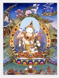 佛畫佛像唐卡 金剛亥母畫像1  相紙塑封 唐卡 結緣 佛教密宗佛像畫光明天女 歷史價格詳細信息