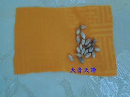 【新品上市】俯臥撐支架木質俄挺架倒立架實木男士家用健身器材訓練街健輔助器 歷史價格詳細信息