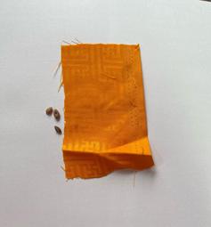 拉薩西藏帶回來的香薰料 山南扎基大小昭桑耶色拉敏珠都有 有需4955 歷史價格詳細信息