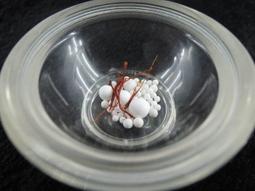 結緣價 鈦鋼嘎烏 六字箴言轉經輪吊墜 掛件 男女兒童護身符轉運吊墜 可裝金剛砂 甘露丸 經文等 保平安 歷史價格詳細信息