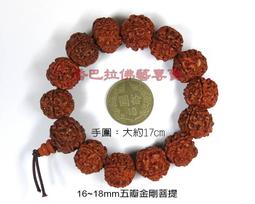 尼泊爾五瓣六瓣大金剛菩提子紅皮機刷包漿佛珠盤玩男士手串女手鏈 歷史價格詳細信息