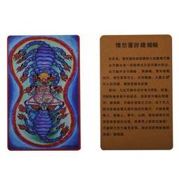 忿怒蓮師鐵蝎咒輪威猛熾燃火焰九頭鐵蝎子降魔除障金剛盔鎧法塑封 唐卡 佛畫 歷史價格詳細信息