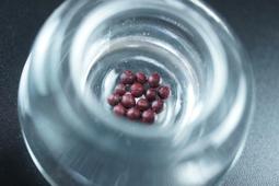 「還願佛牌」西藏 密宗 藏傳 色登寺 福慧薰香 活佛 丹真絨布 加持 增上 福慧順緣 天然藏香禮佛 歷史價格詳細信息