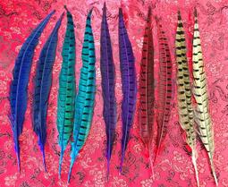 神尊用 特選 2尺-2尺1長 帝雉毛 雉雞毛 羽毛 原色 金色 一對 ( 兩支 ) 歷史價格詳細信息