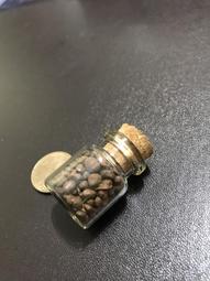 {泰國至寶}龍宮舍利-靈骨舍利子（含瓶）-結緣價 歷史價格詳細信息