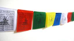 賈人藝術-藏香-21財神總集或21廿一度母總集香或藥師八如來-上供,下施-批發,零售,團購,優待 歷史價格詳細信息