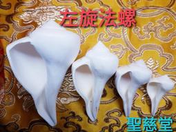 【聖慈堂】A300.七彩元寶.100g裝.隨機出貨不挑色.AHO 歷史價格詳細信息