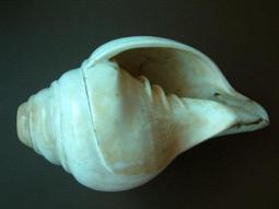 西藏藏密擺件慧寶供具供品美純銅菩提塔鑲嵌寶石舍利塔佛塔7寸 歷史價格詳細信息