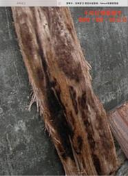 (茶陶音刀生技)玻璃瓶一個20元.超臨界高濃縮台灣野生牛樟椴木養殖牛樟芝(菇)子實體顆粒.本賣場提供多種優惠方案以利選購 歷史價格詳細信息