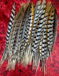 神尊用 特選 2尺-2尺1長 帝雉毛 雉雞毛 羽毛 原色 金色 一對 ( 兩支 ) 歷史價格詳細信息