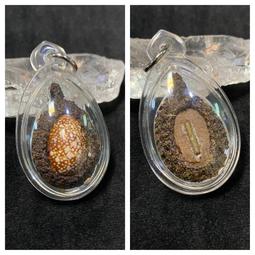 呼呼寶貝保健系列｜黃金比例Huu眼葉黃素 歷史價格詳細信息